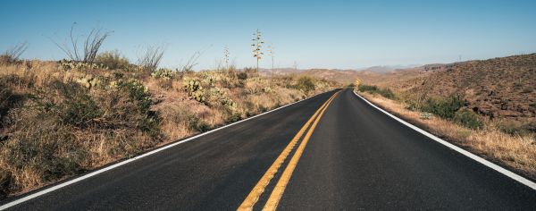 Cost of Blacktop Service in Champaign