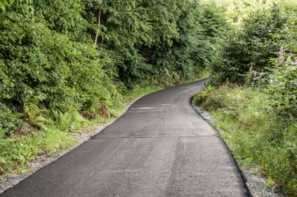 Asphalt Driveway Replacement in Champaign